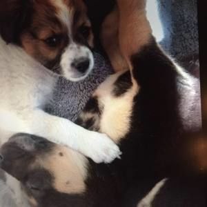 Meet your Posher, Kelley